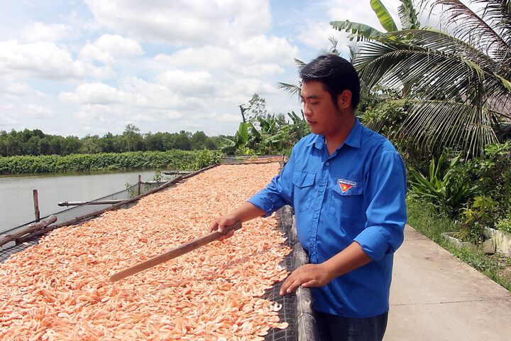 Doanh nhân trẻ và khát vọng nâng tầm giá trị tôm sinh thái