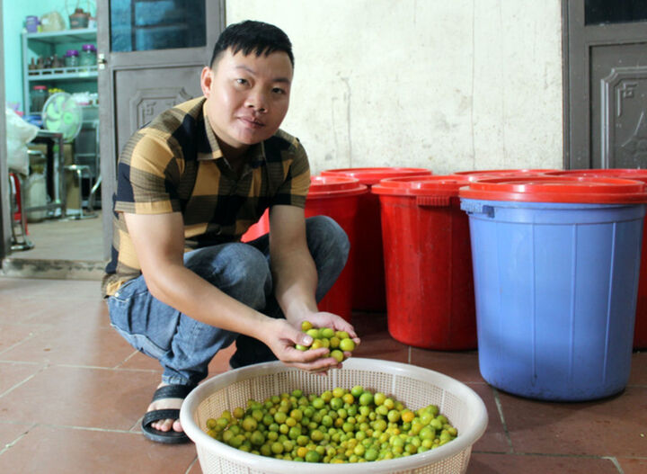 Thi đua yêu nước: Chàng thanh niên dân tộc Dao tiên phong phát triển kinh tế