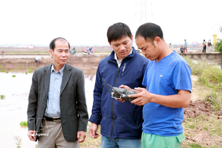 Young farmer brings technology to organic rice fields