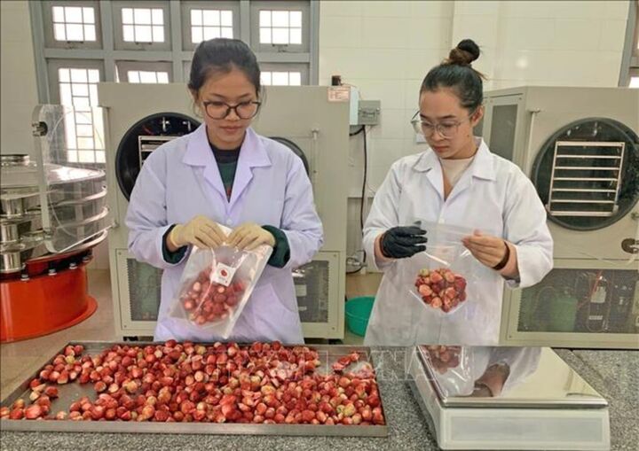 Đoàn viên, thanh niên trở thành “đại sứ nông sản”