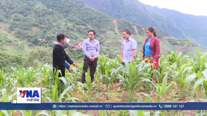 Bí thư chi bộ hết lòng vì nhân dân vùng cao