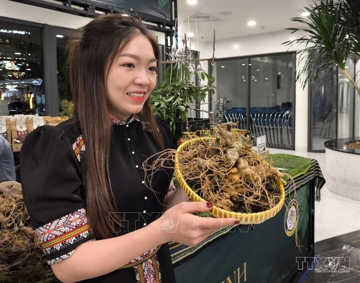 Mùa hè xanh thời AI: Khi sinh viên mang chuyển đổi số lên miền núi