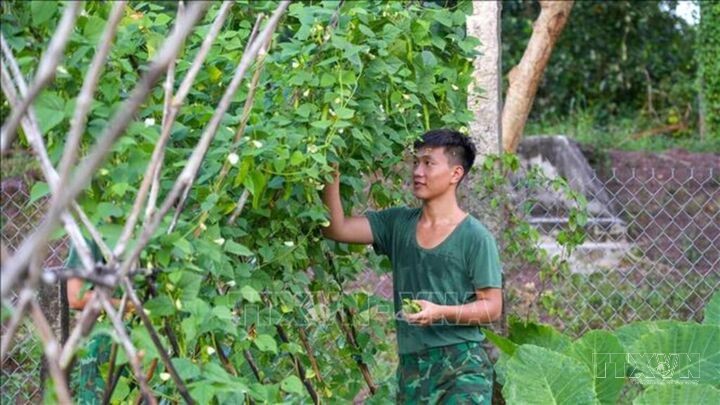 Phát huy nguồn nhân lực trẻ sau những tháng ngày quân ngũ