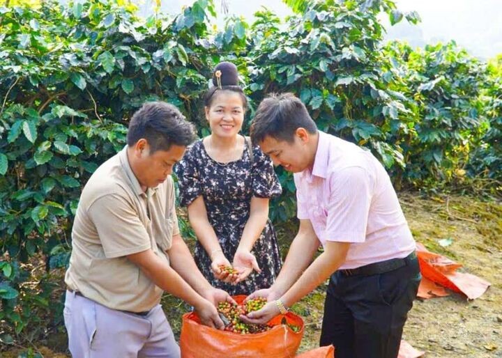 Đảng viên trẻ vùng cao tiên phong mở lối thoát nghèo