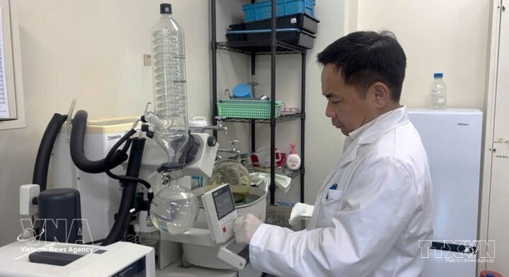 Vietnamese scientist in Japan advances research, training, technology transfer for homeland