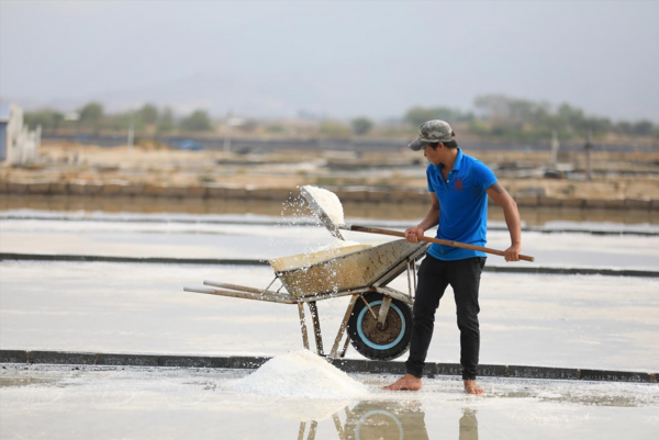 Traditional salt making in Ninh Thuan