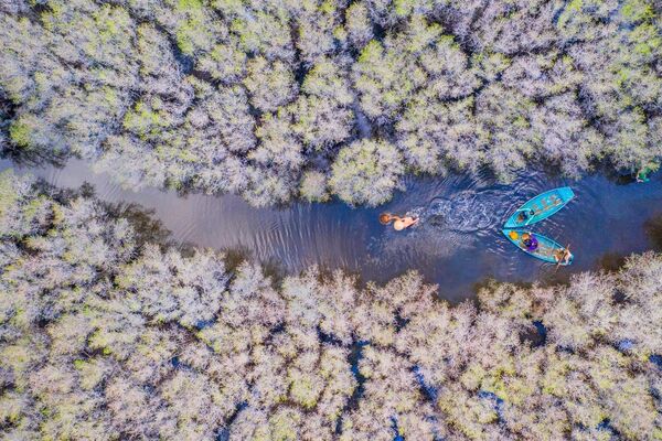 Mangrove forest conservation to respond to climate change in the South Central region