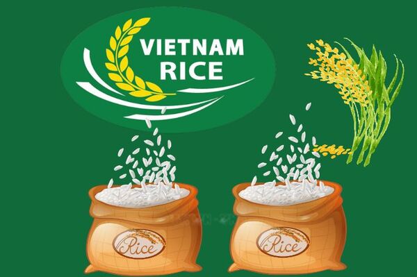 Rice exports up 32% in H1
