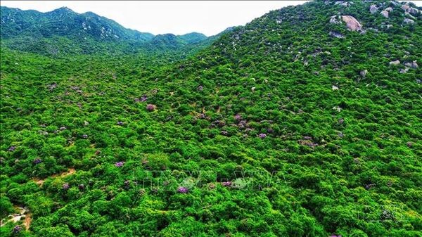 Ứng phó biến đổi khí hậu, thiên tai: Phòng ngừa, ngăn chặn từ sớm, từ xa