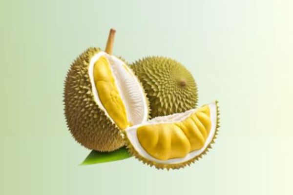 Frozen durian cleared for official export to China