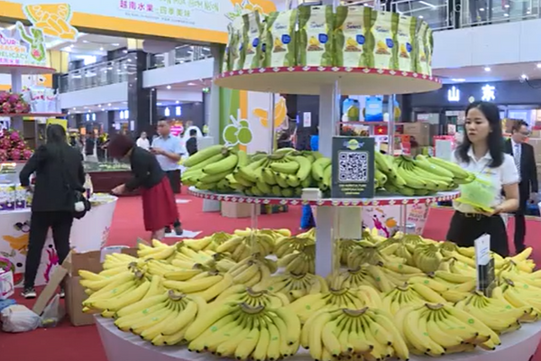 First Vietnam fruit festival opens in China
