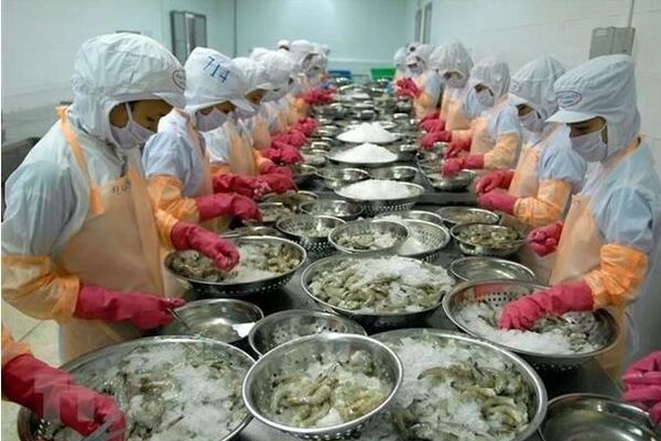 Vietnam’s fishery exports expected to hit 10 billion USD in 2024