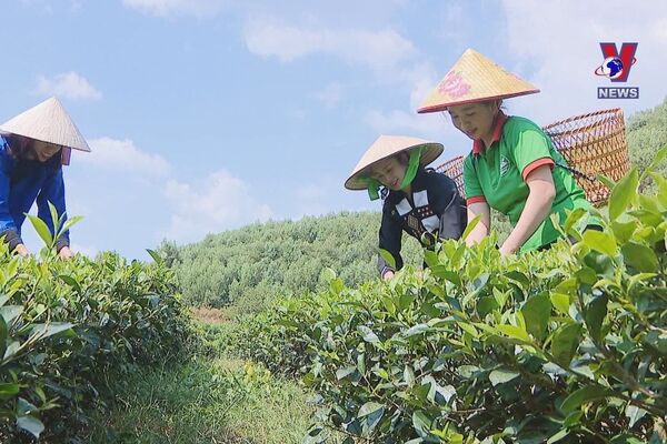 Vietnam’s sustainable revolution in poverty reduction