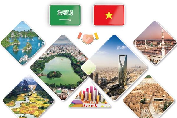 Enhancing Vietnam - Saudi Arabia cooperative ties