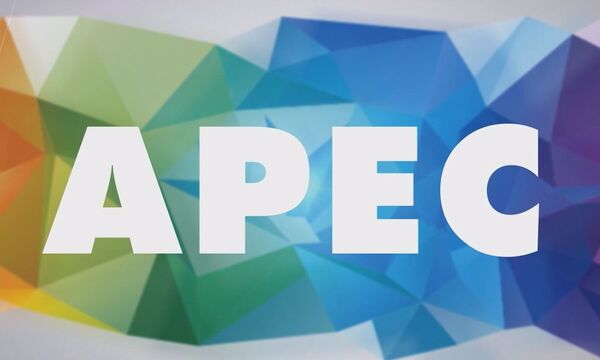 Vietnam affirms active, responsible role in APEC