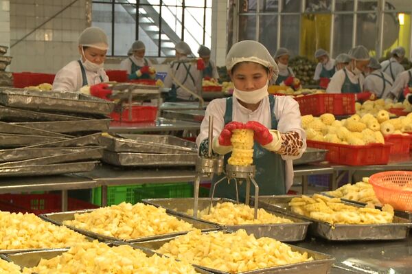 Vegetable, fruit exports likely to make record high of 7.5 billion USD