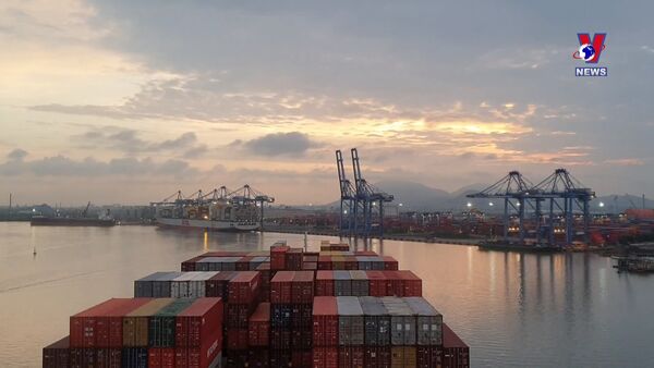 Ample room for Vietnamese goods to win Trans-Pacific Partnership markets