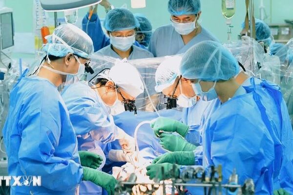 Vietnam leads Southeast Asia in number of organ transplants