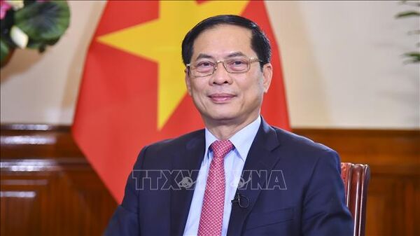 Diplomatic achievements in 2024 set stage for Vietnam’s new era: Deputy PM