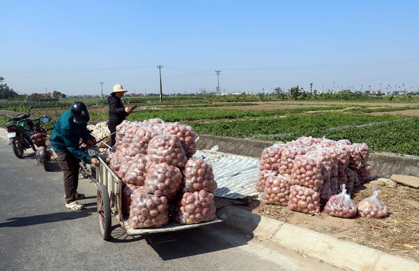 Hành trình ấn tượng trên con đường xây dựng nông thôn mới nâng cao ở Vũ An 