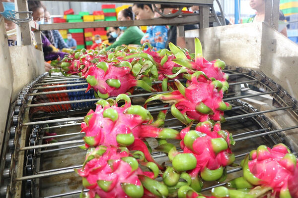 Overseas Vietnamese help Vietnamese products go global