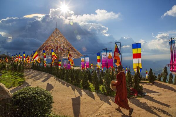 Vesak 2025: Praying for world peace and planting 108 Bodhi trees in Ba Den Mountain