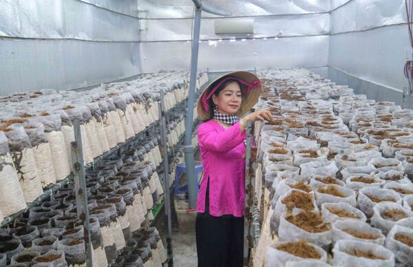 Nữ doanh nhân An Giang và giấc mơ