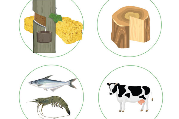 First four months of 2025: Agro-forestry-fishery exports rise by 10.7%