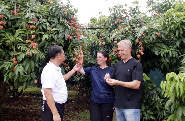 Hấp dẫn du lịch 