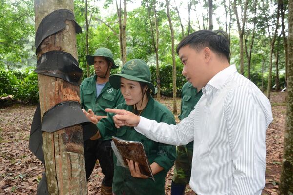 Người thợ trẻ phố Núi với nhiều sáng kiến làm lợi hàng tỷ đồng