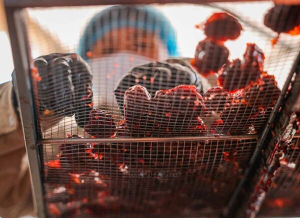 Bac Ha plums: From highland delicacy to sustainable OCOP product