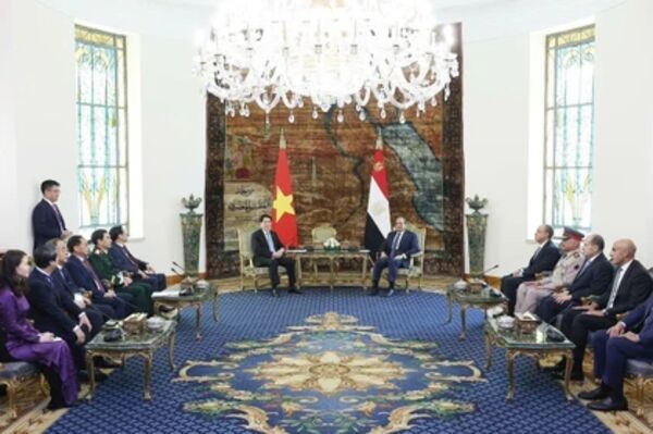 Vietnamese, Egyptian Presidents hold talks, agree to lift ties to Comprehensive Partnership