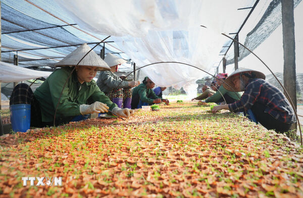 OP-ED: PM orders specific criteria to evaluate private business environment, satisfaction