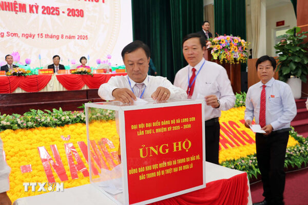 Xã đảo Long Sơn phát triển đô thị theo hướng “Làng trong phố, phố trong làng”