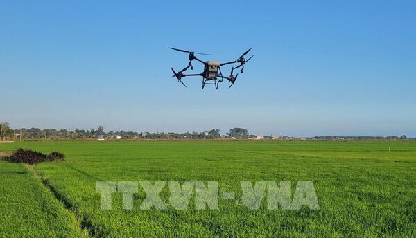 Ấn tượng Việt Nam: Hành trình đến cường quốc nông sản