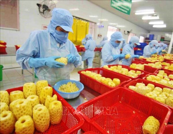 Công nghệ bảo quản tăng sức cạnh tranh cho nông sản Việt