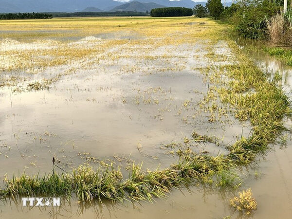 Vietnam requires up to 92 billion USD for climate adaptation by 2030
