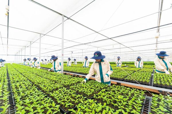 <b>Diện mạo nông thôn không ngừng đổi mới, đời sống nhân dân ngày một nâng cao</b>