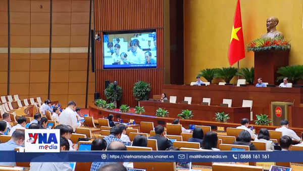 Cần ràng buộc trách nhiệm pháp lý sàn thương mại điện tử