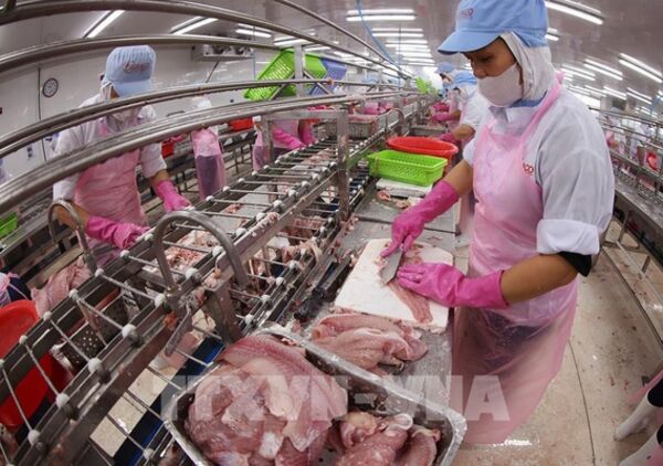 Mở đường xuất khẩu để đón sóng tăng trưởng