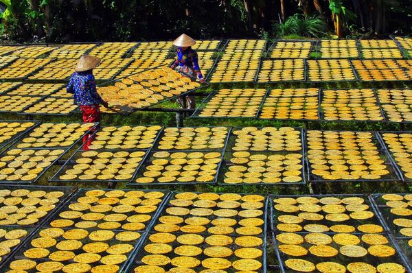 Mekong Delta women start businesses to adapt to climate change