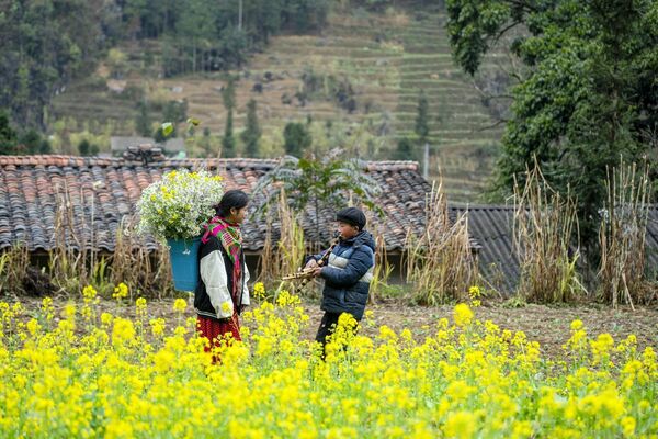 World Travel Awards help Vietnam’s eco-tourism take flight