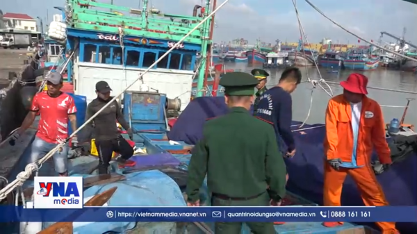 Ngư dân Gia Lai vươn khơi sau bão