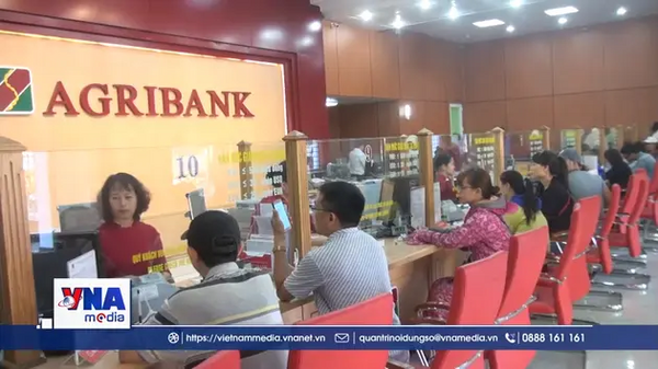 Ngân hàng giảm 2% lãi
vay, ủng hộ 150 tỷ đồng cho vùng lũ