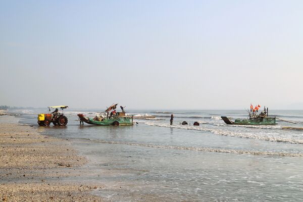 Nghe An fishermen enjoy bumper blue-swimmer crab season