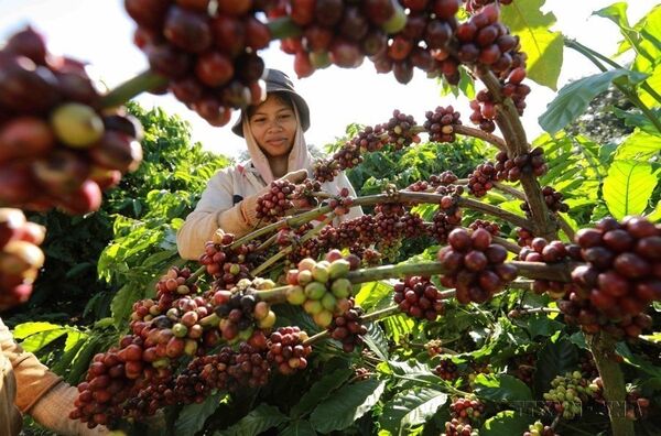 Green transformation: Key for Vietnamese businesses to integrate into global supply chains