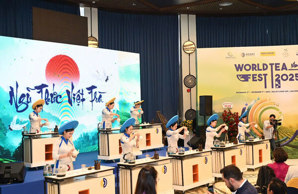 Lễ hội Trà quốc tế 2025: Không gian văn hoá – kinh tế kết nối Việt Nam với thế giới