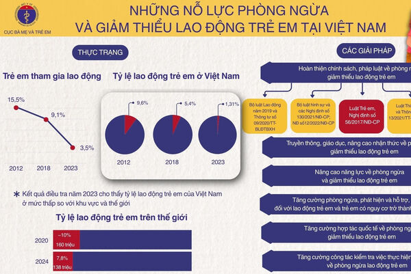 Những nỗ lực phòng ngừa và giảm thiểu lao động trẻ em tại Việt Nam