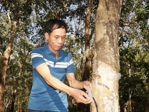 Thi đua yêu nước: Dẫn dắt đồng bào dân tộc thiểu số cùng vượt khó làm giàu