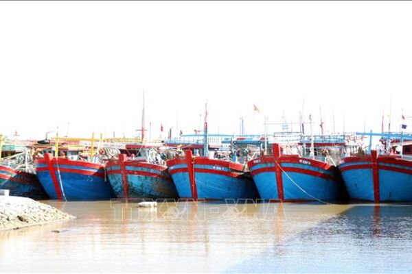 Ninh Binh steps up awareness raising to combat illegal fishing
